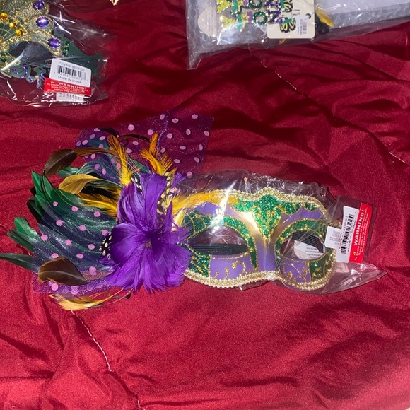 Accessories - Mardi Gras feathered and lace mask!